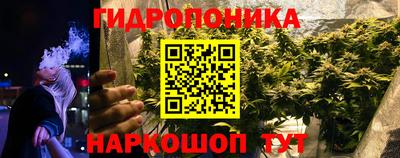 трава Кунгур